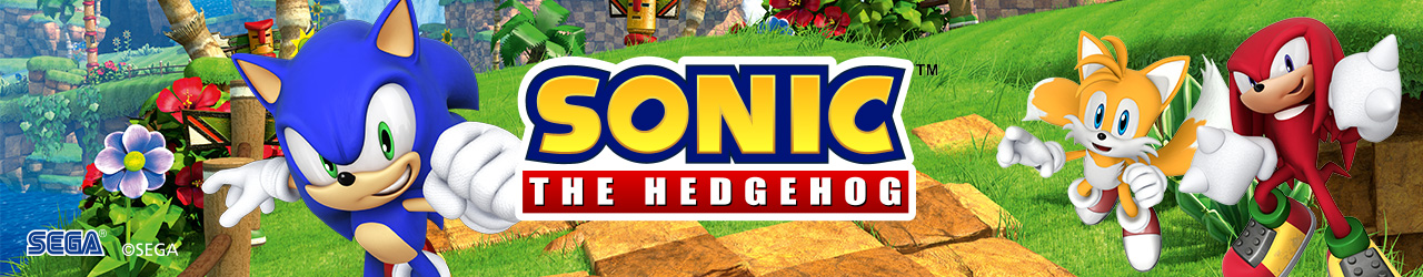 Banner Sonic