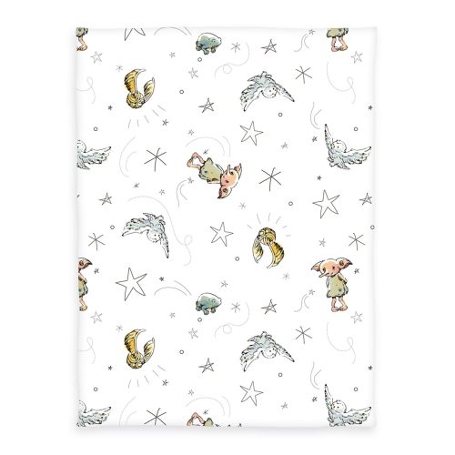 Produktbild Harry Potter Babydecke Wizard in training