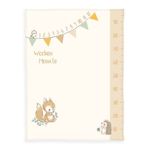 Produktbild Meilensteindecke/Monatsdecke Waldfreunde babybest