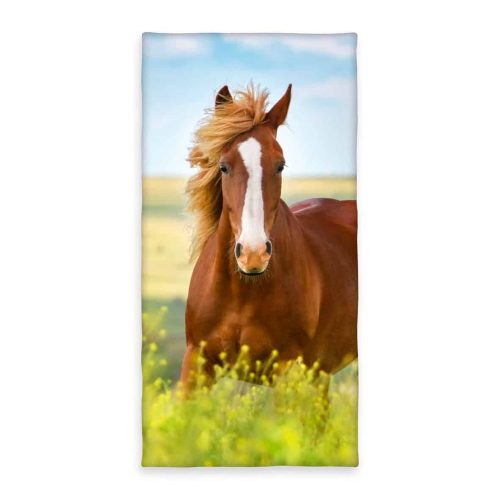 pferd-strandtuch-badetuch-6124206516